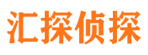 高港市侦探公司